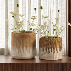 Verdisia Belle Vase - All