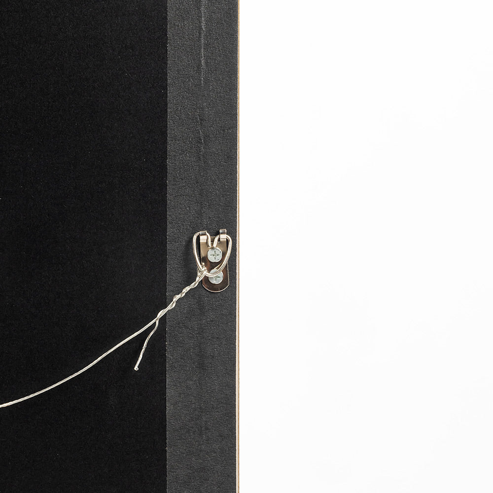 Whim of Wings Wall Painting