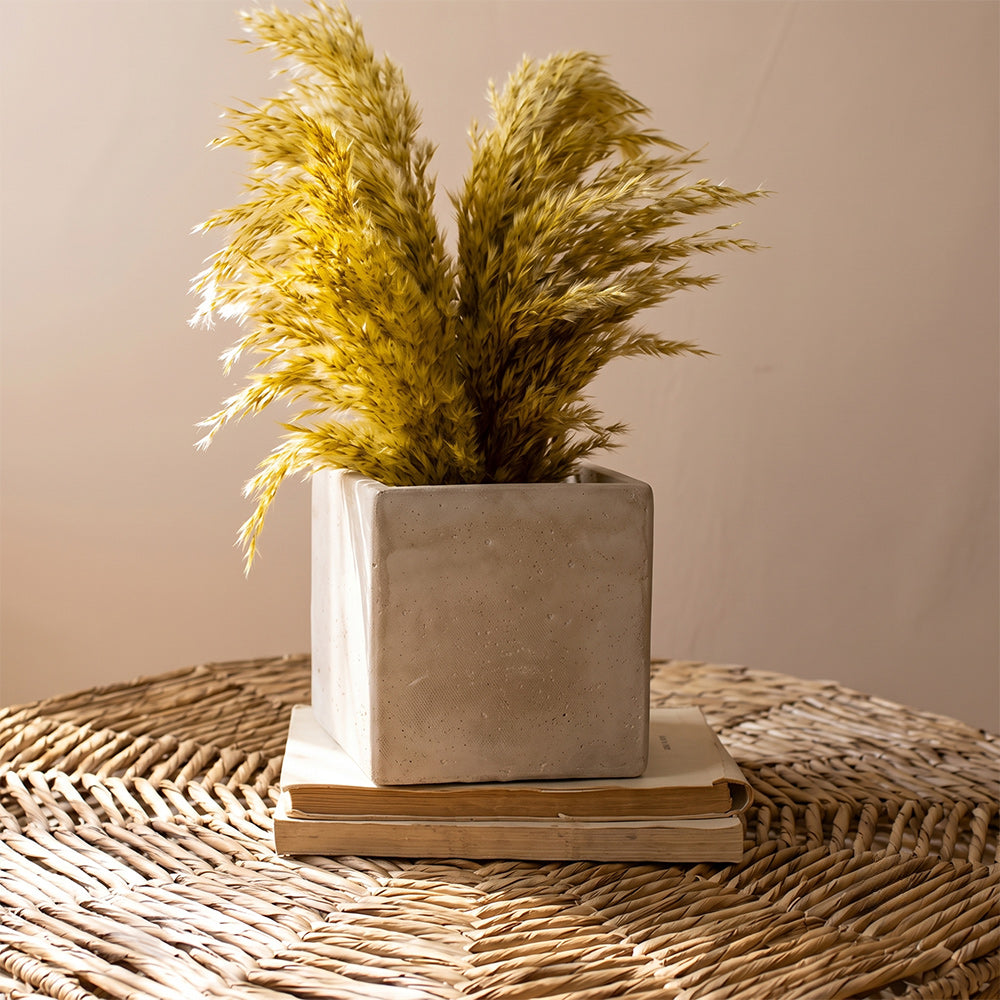 Kimbra Cement Pot S/2` - Big