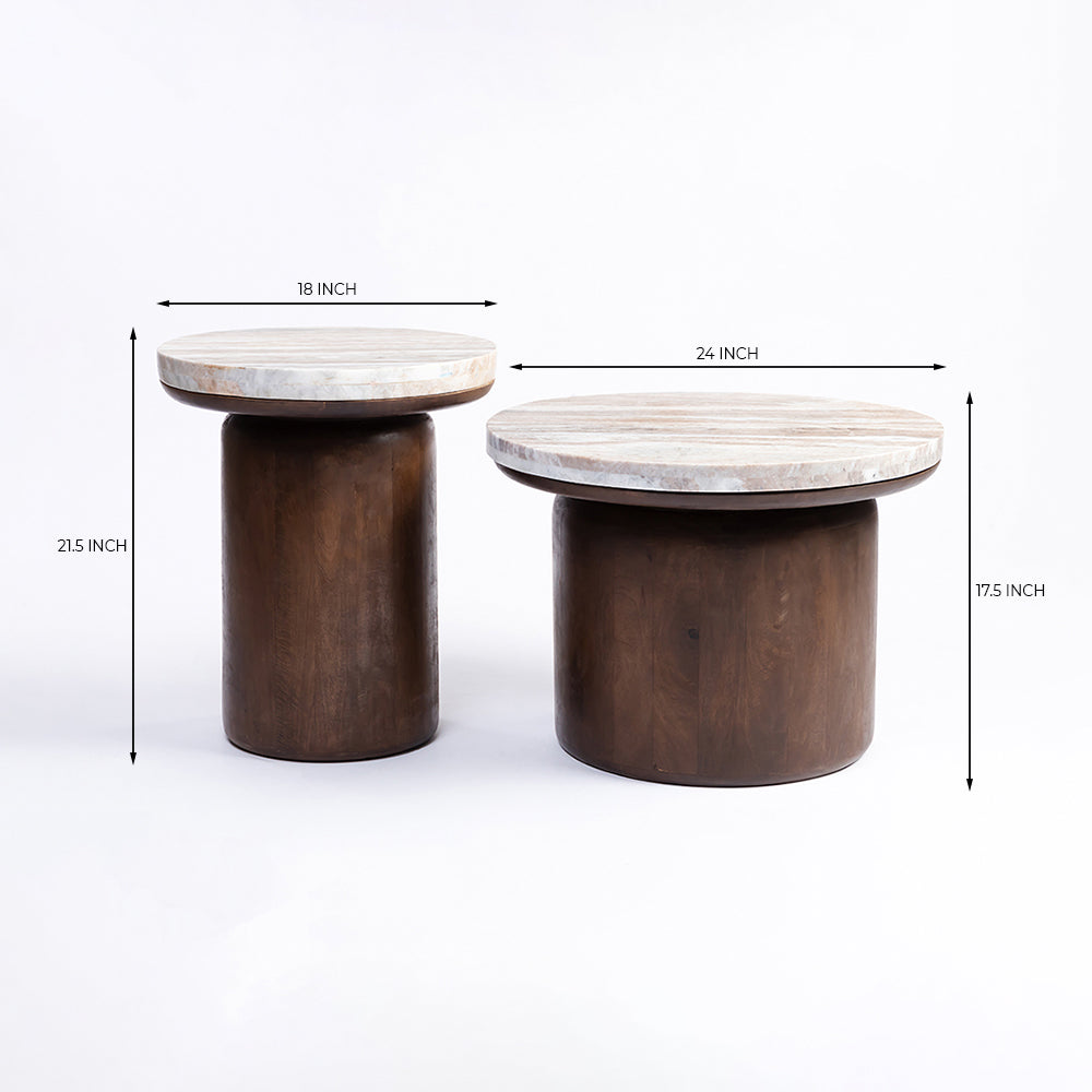 Rex Mango Wood Coffee Table Set of 2 - All Large Small