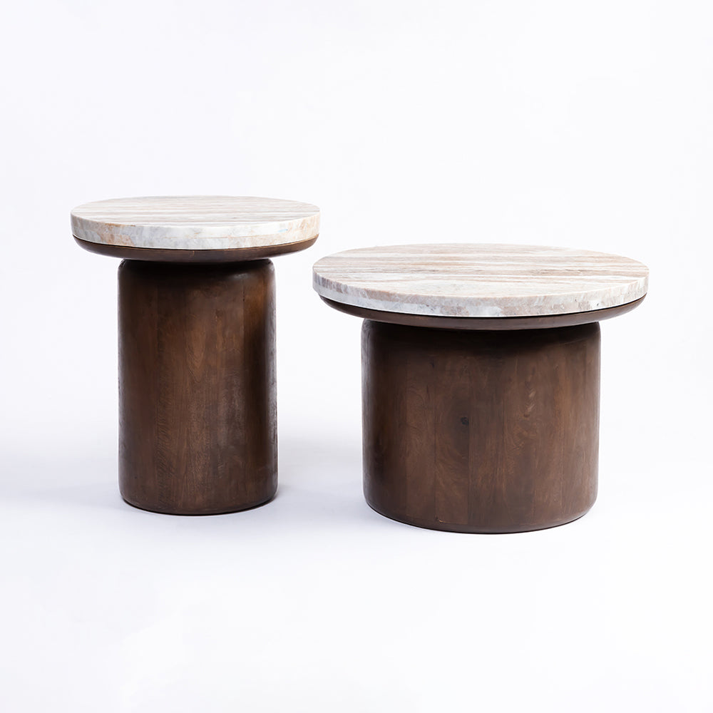 Rex Mango Wood Coffee Table Set of 2 - All Large Small