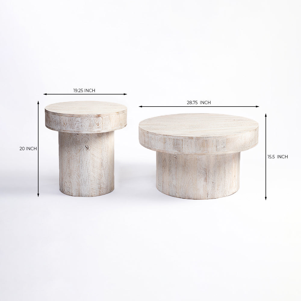 Rex Mango Wood Coffee Table Set of 2 - All Large Small