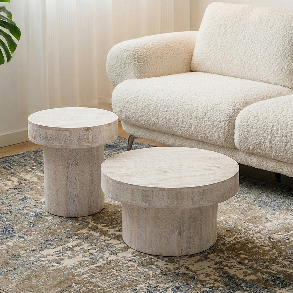 Rex Mango Wood Coffee Table Set of 2 - All Large Small