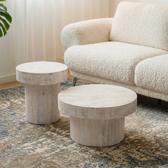 Rex Mango Wood Coffee Table Set of 2