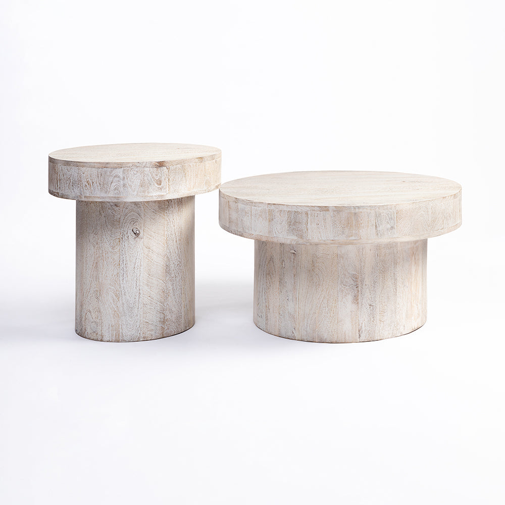 Rex Mango Wood Coffee Table Set of 2 - All Large Small