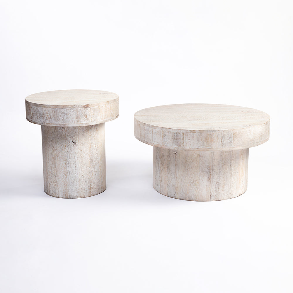 Rex Mango Wood Coffee Table Set of 2 - All Large Small