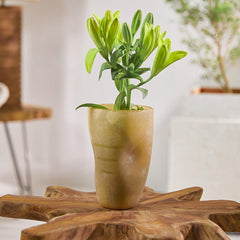 Franklin Fireside Vase