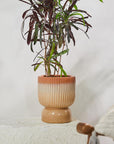 Birch Haven & Cedar Glen Ceramic Pot - Living Shapes