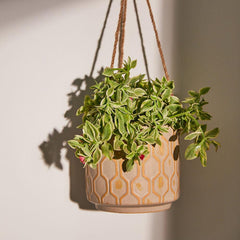 Avenue Allure Ceramic Hanging Pot