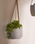 Bloom Beauty Ceramic Hanging Pot - Living Shapes