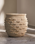 Quince Quirk Cement Pot - Living Shapes