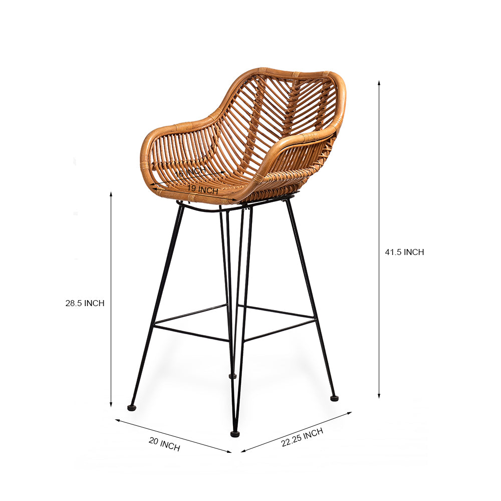 Tender Throne Bar Stool