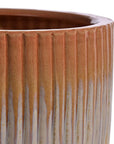 Birch Haven & Cedar Glen Ceramic Pot - Living Shapes