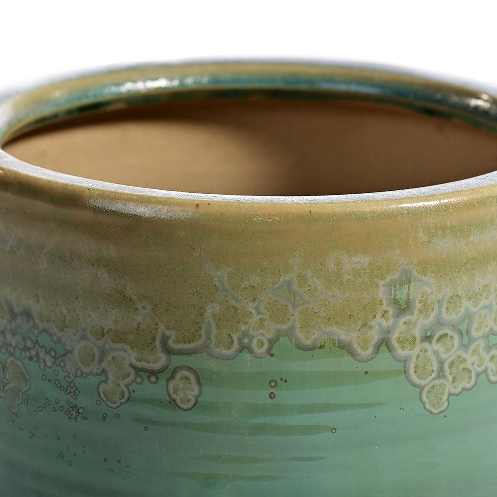 Dove Tail & Elm Elite Ceramic Pot - Living Shapes