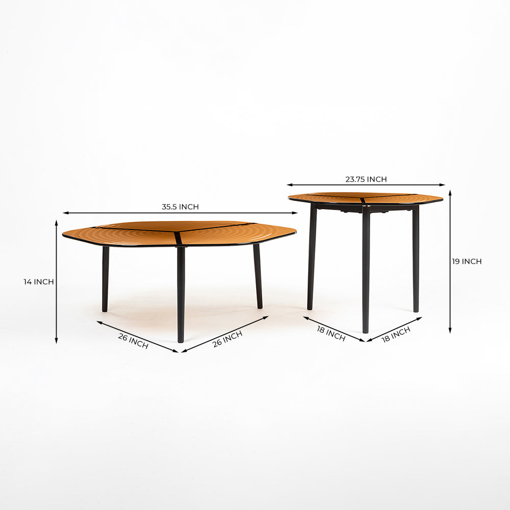 Berlin Glass Hexagon Coffee Table with Metal Base Set of 2