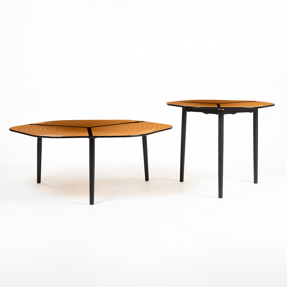 Berlin Glass Hexagon Coffee Table with Metal Base Set of 2