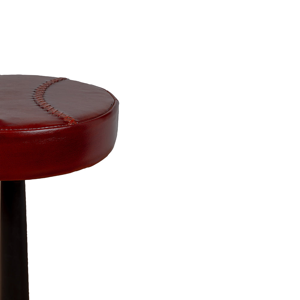 Macron Leather Bar Stool with Iron