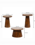 Mango Wood Coffee Table Set of 3