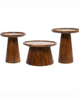 Mango Wood Coffee Table Set of 3