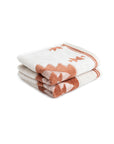 Terra Sands Towel