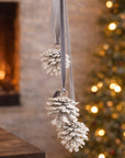 Silver & Frost Pine Cones Ornament