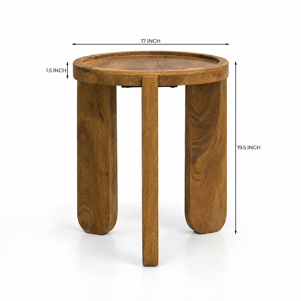 Finch Mango Wood Coffee Table Set of 2