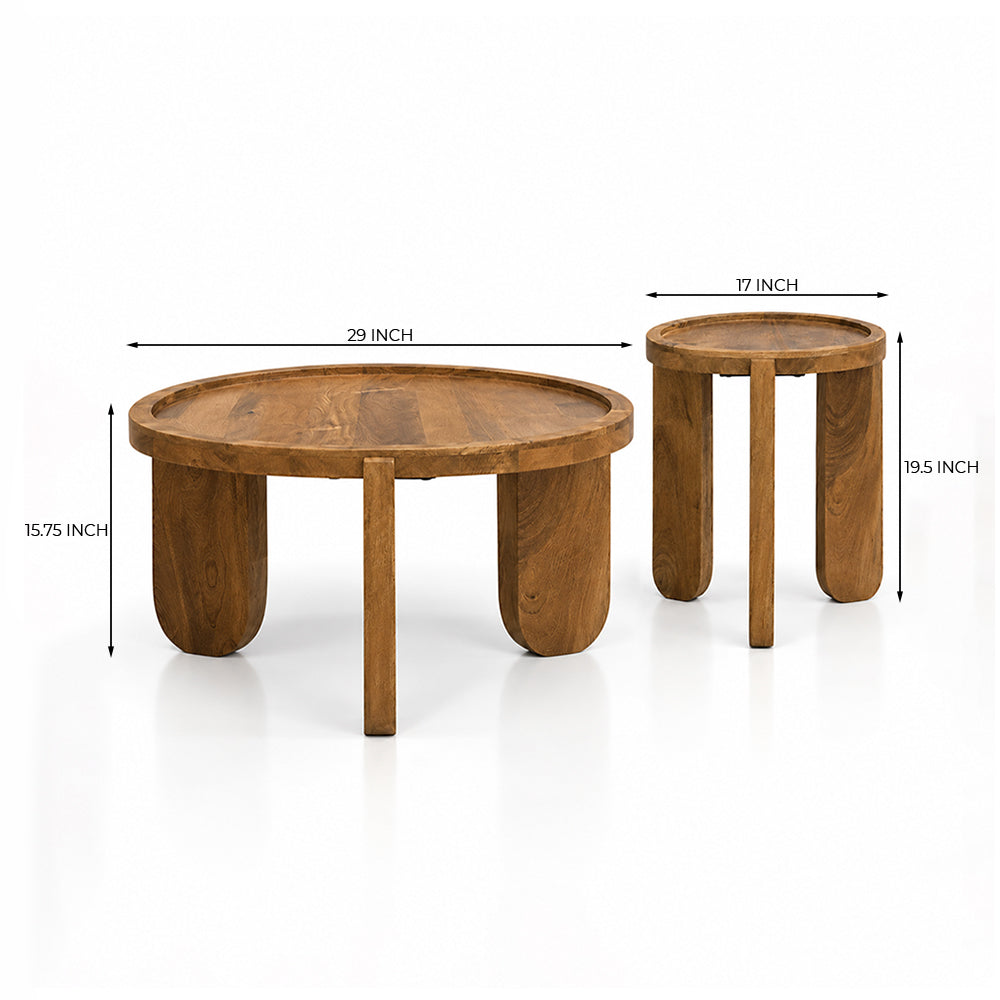 Finch Mango Wood Coffee Table Set of 2