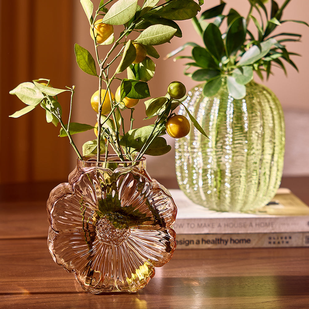 Collection Image