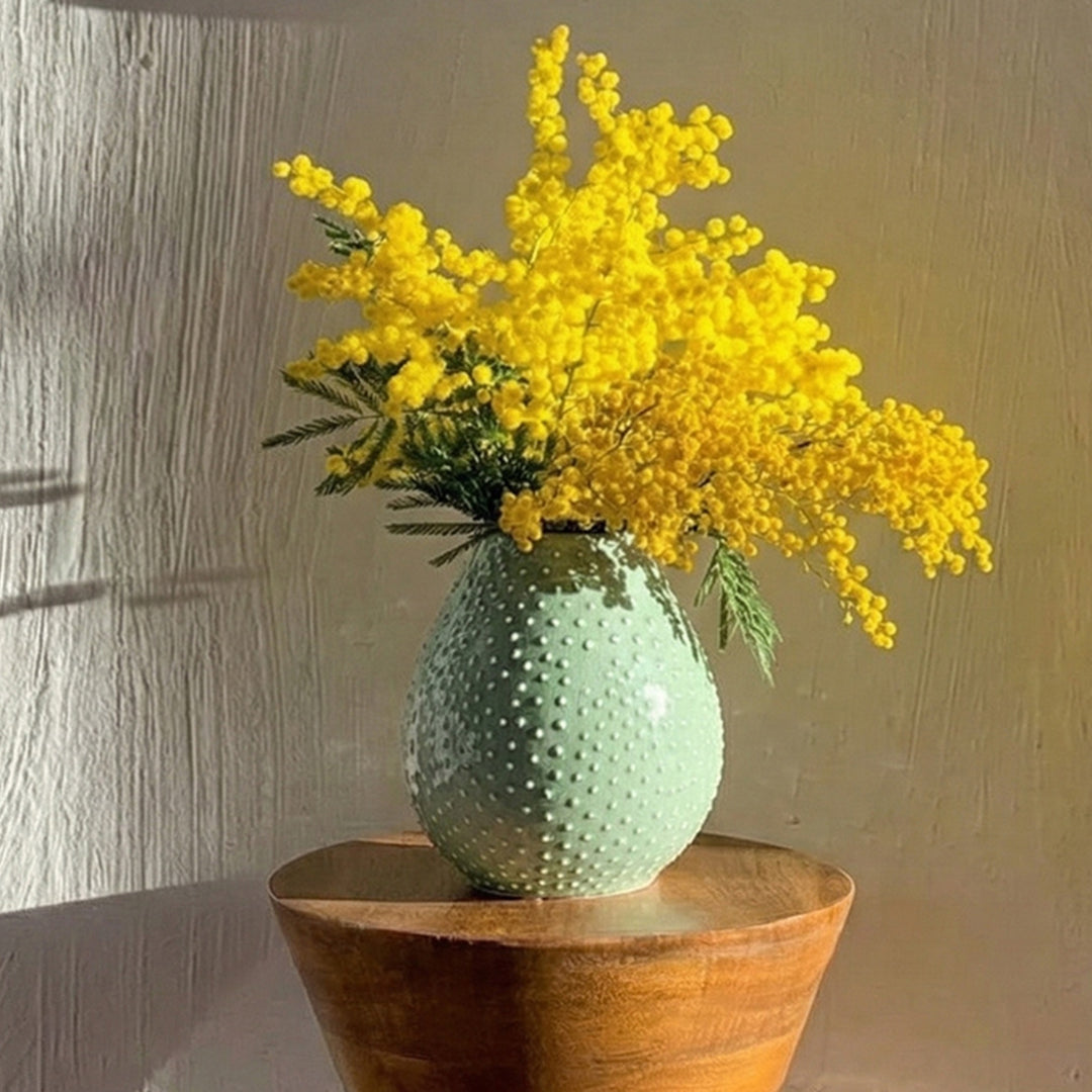 Collection Image