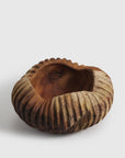Nutshy Bowl - Living Shapes